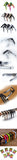 ENO Music - Electric Guitar Capo EGC5